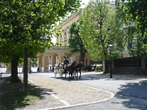 Kutsche vor dem Schloss Schönbrunn